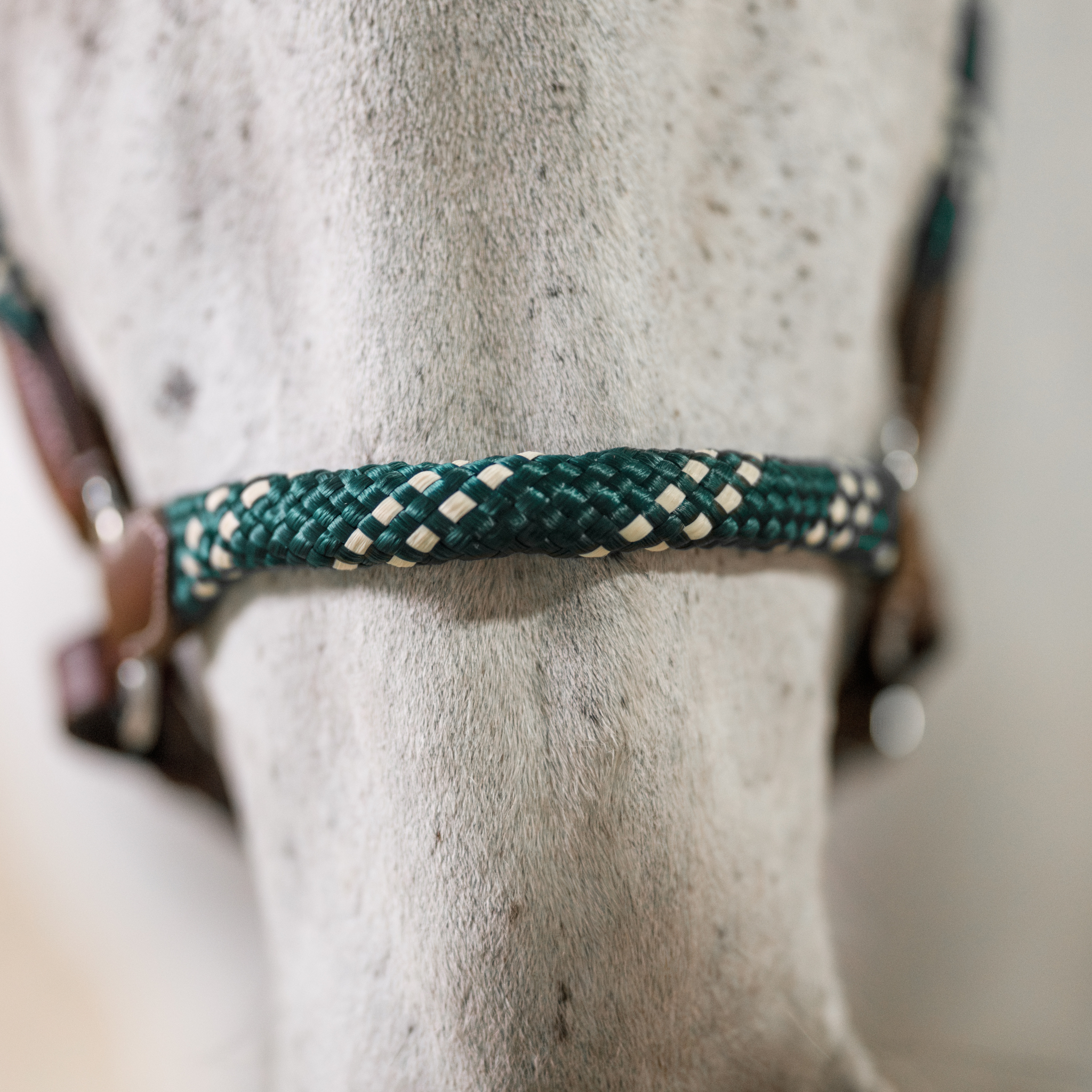 Banff Leather and Rope Halter Set