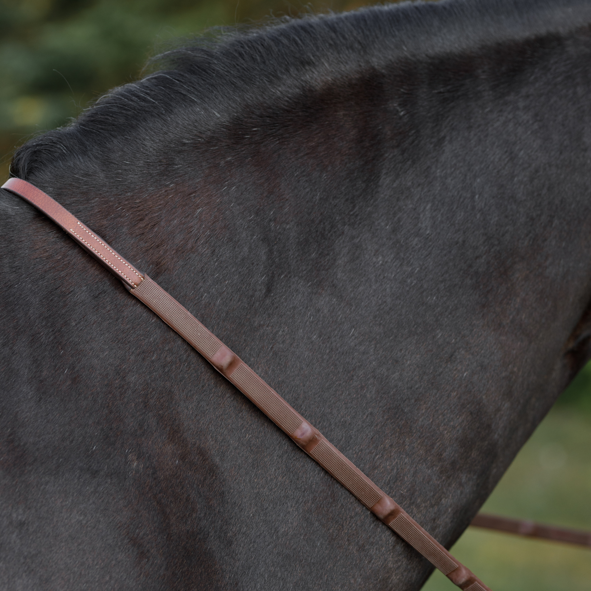 A pair of soft feel rubber reins against a bay horse's neck.