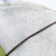 Steady Feel Reins