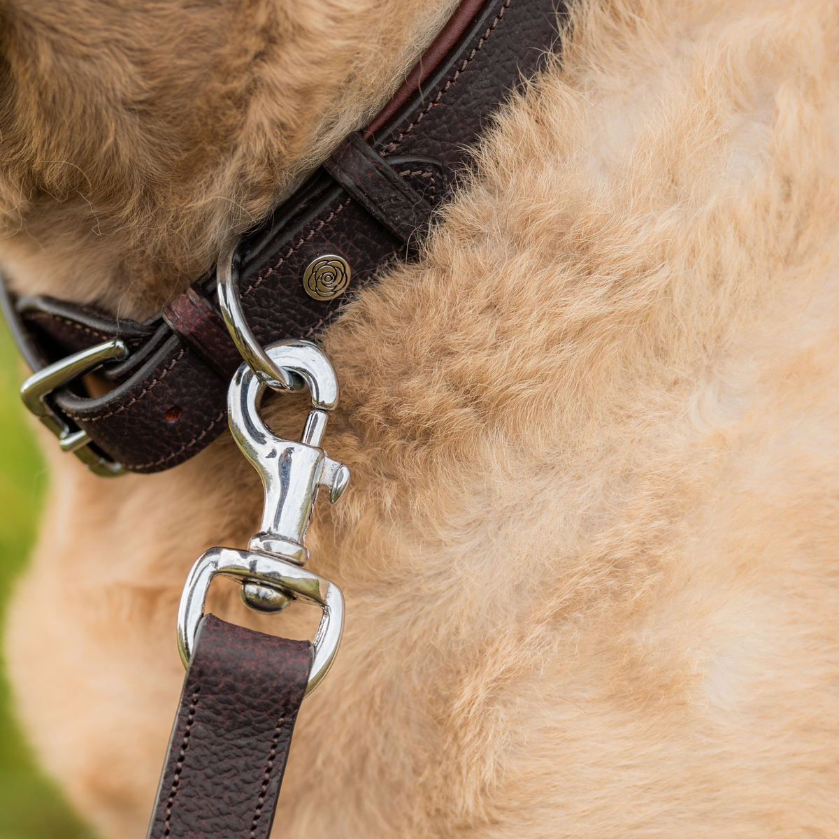 PREORDER: Grain Leather Dog Leash
