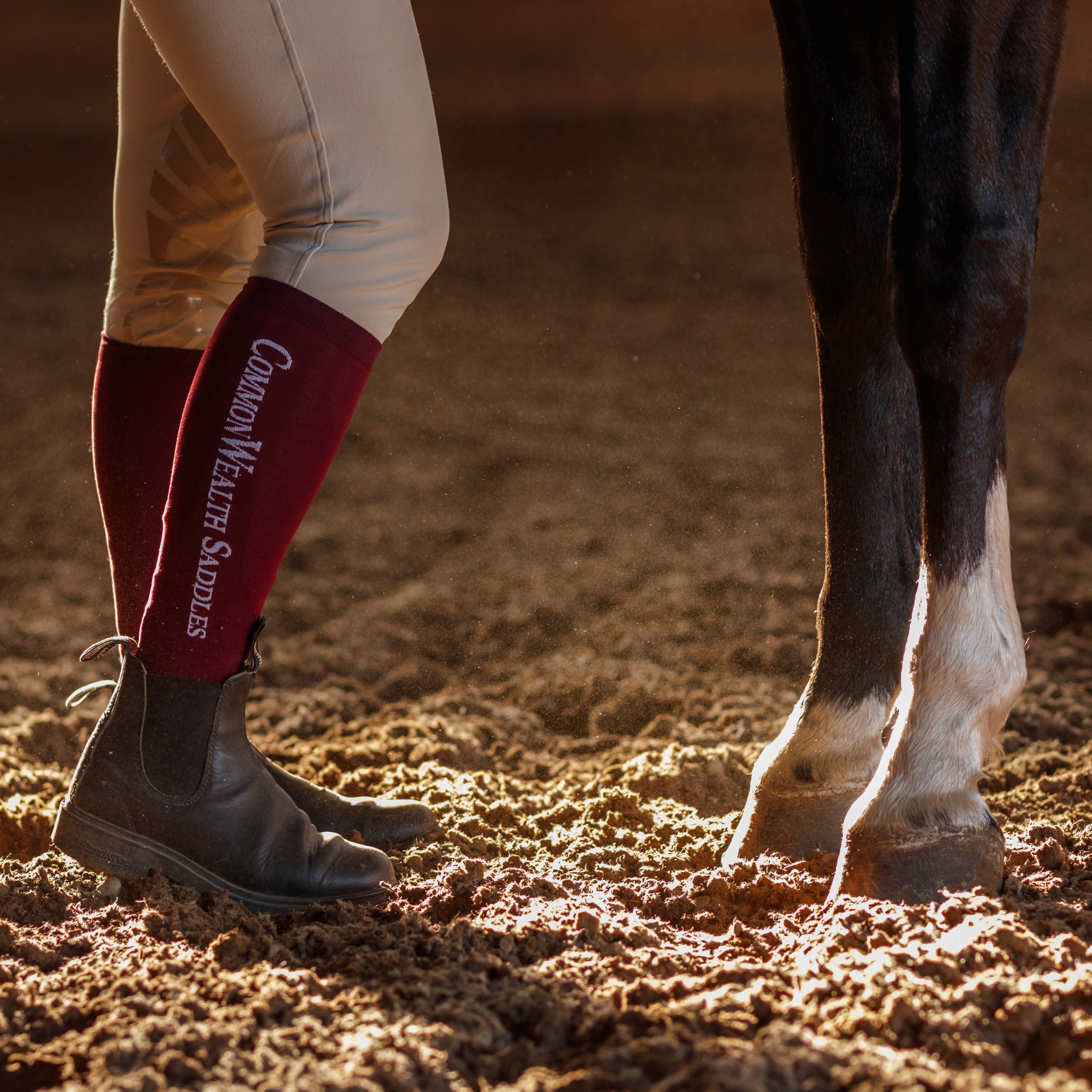 Close up photo of a rider's legs next to a bay horse's legs, standing in an indoor arena. The rider is wearing burgundy boot socks with "CommonWealth Saddles" logo.