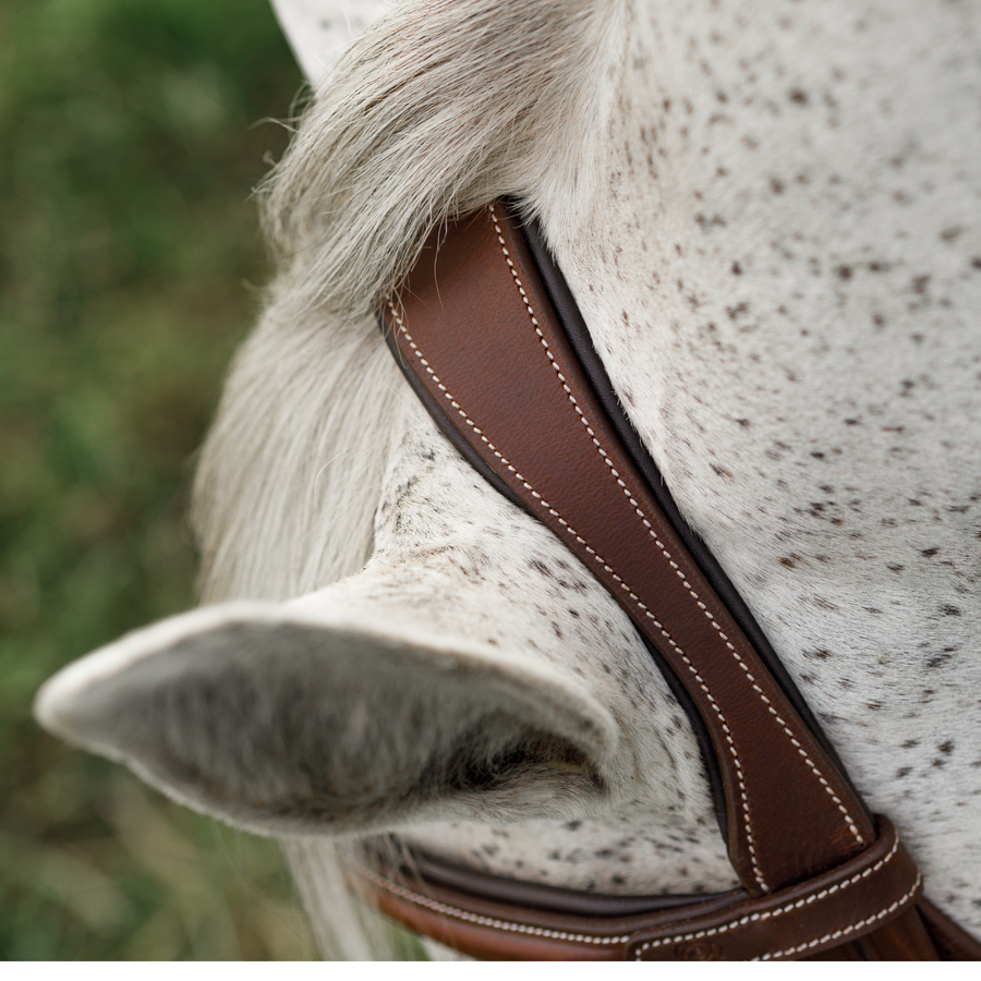 Hunter Bridle