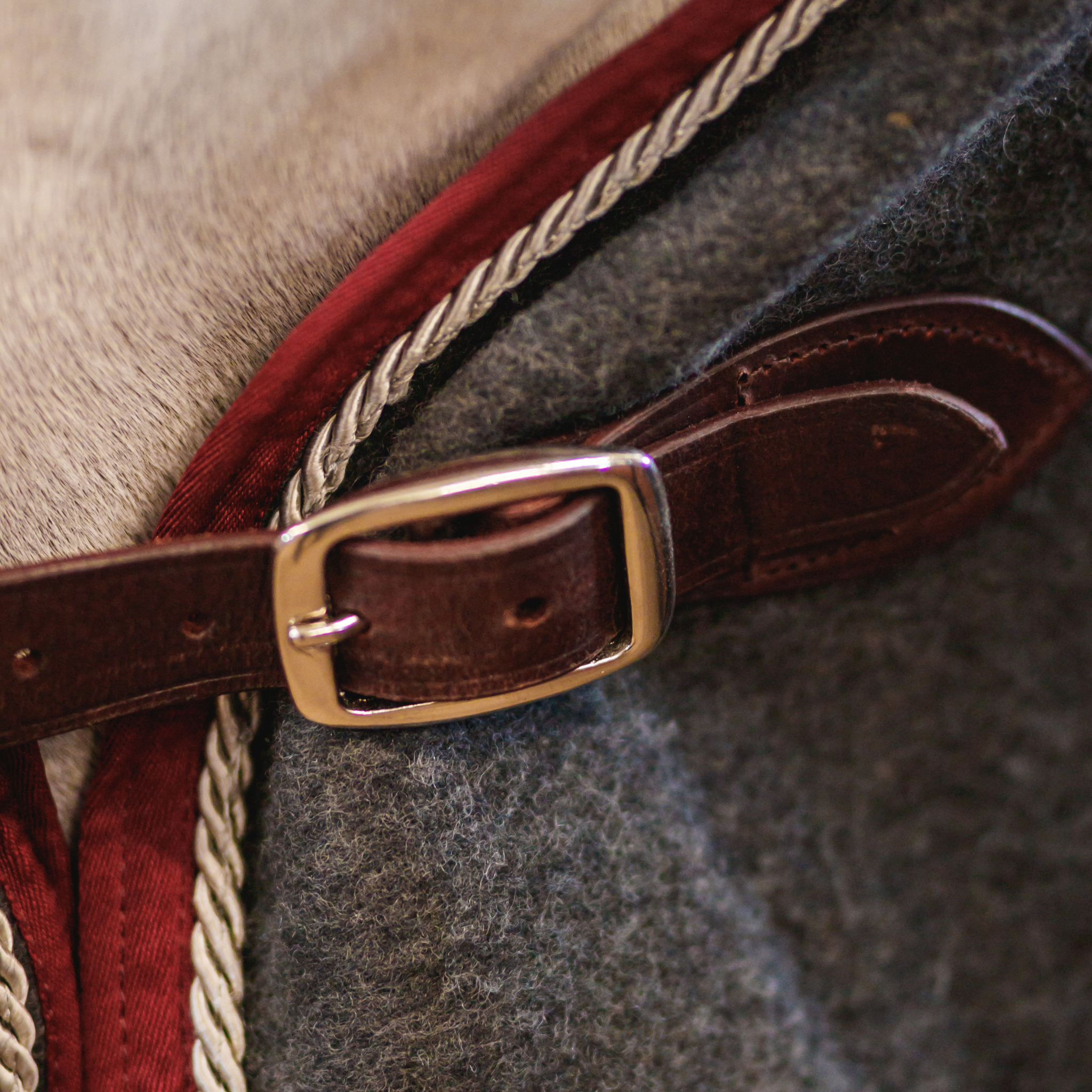 Adirondack Wool Cooler