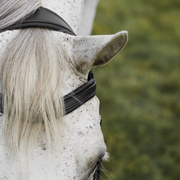 Soft Bridle