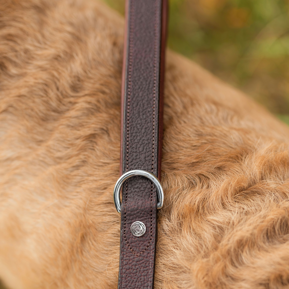 PREORDER: Grain Leather Dog Leash
