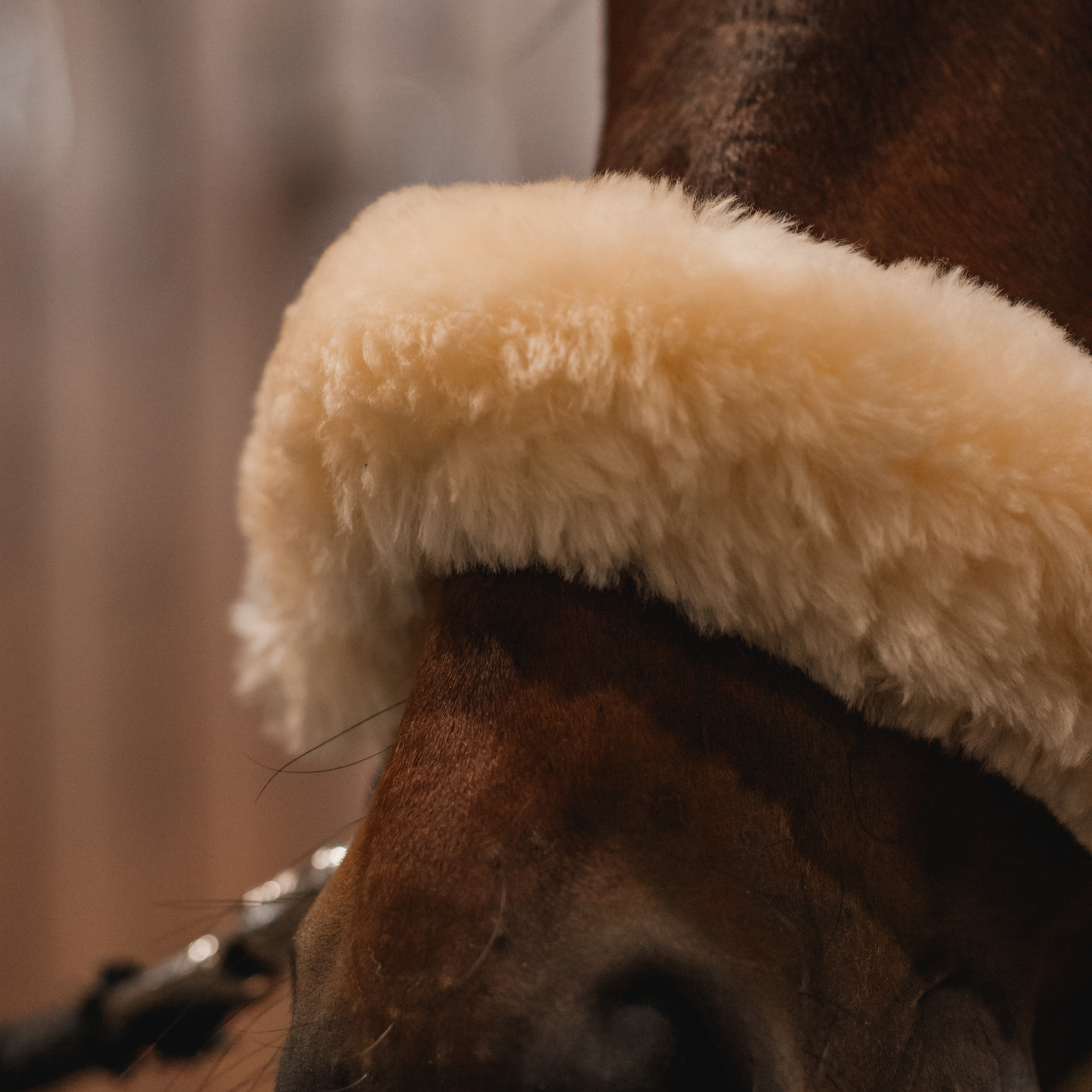 Close up photo of a sheepskin noseband on a bay horse.