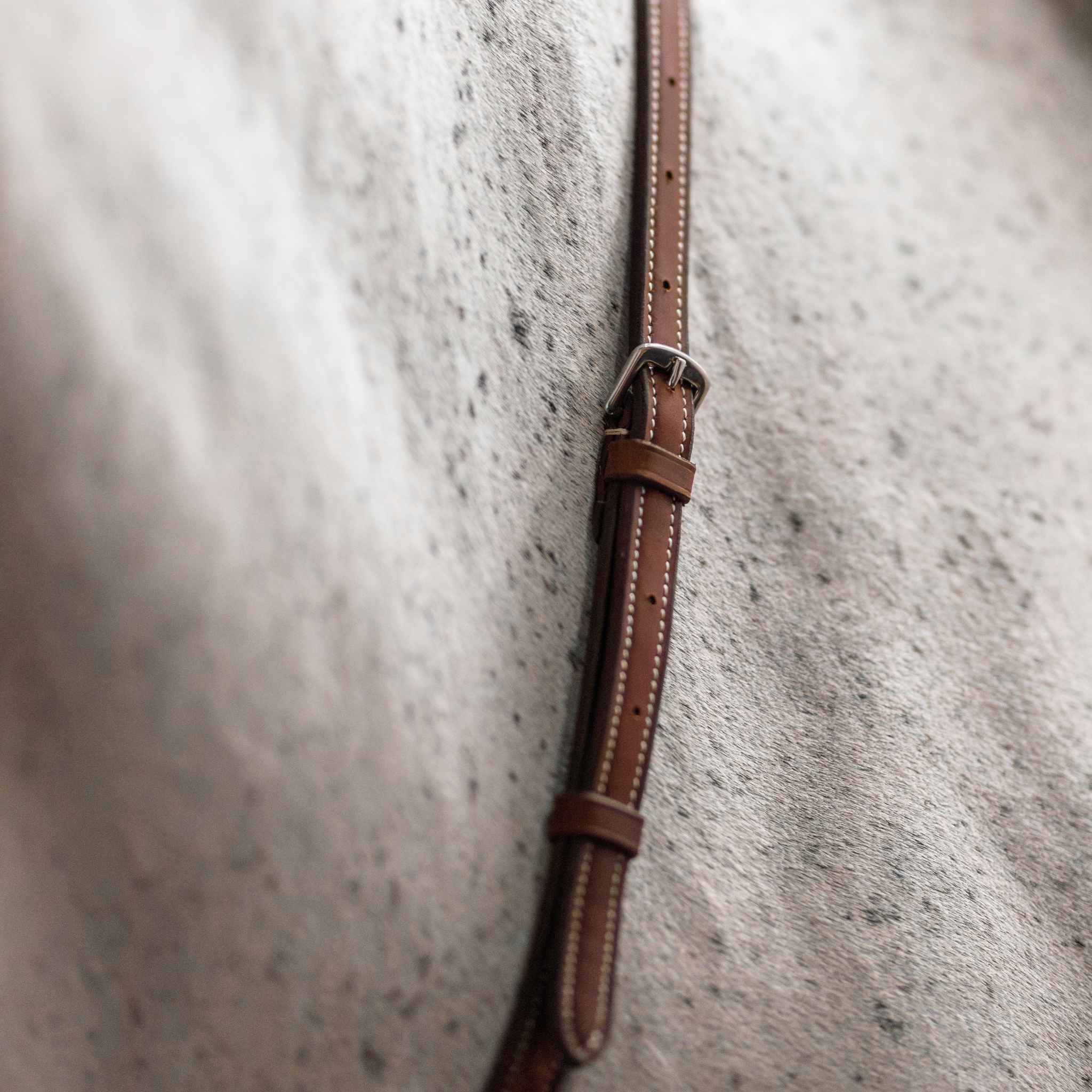 Standing Martingale
