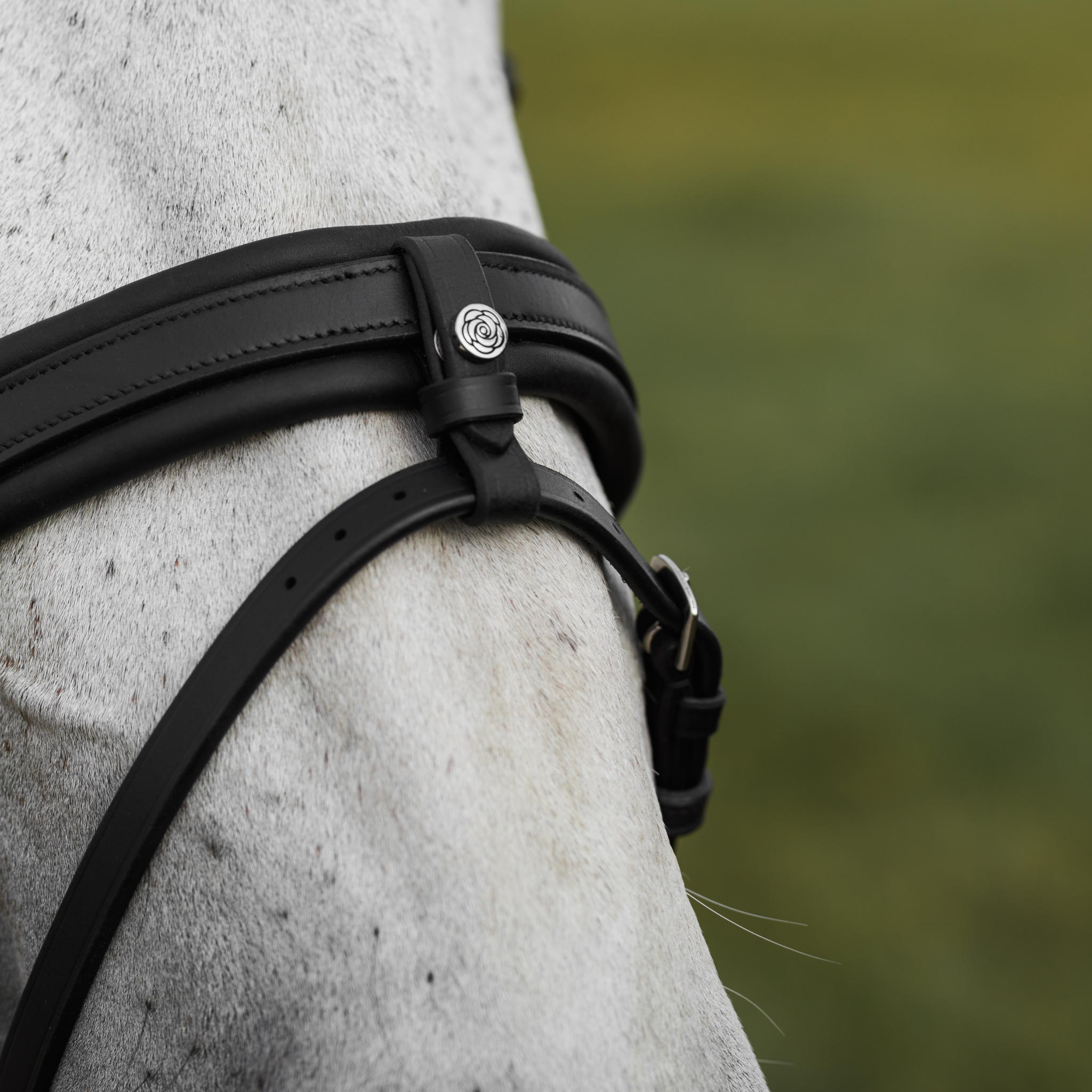 Close-up of a grey horse wearing a black soft bridle with a blurred field background. Photo focuses on the heavy padding under the noseband, and the metal peony logo pin on the removable flash attachment.
