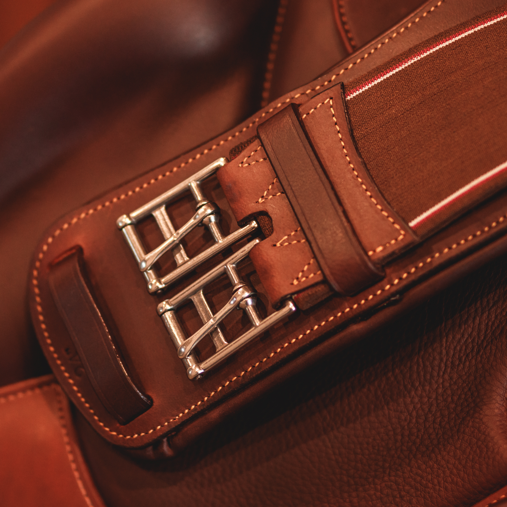 Close up of girth buckles.