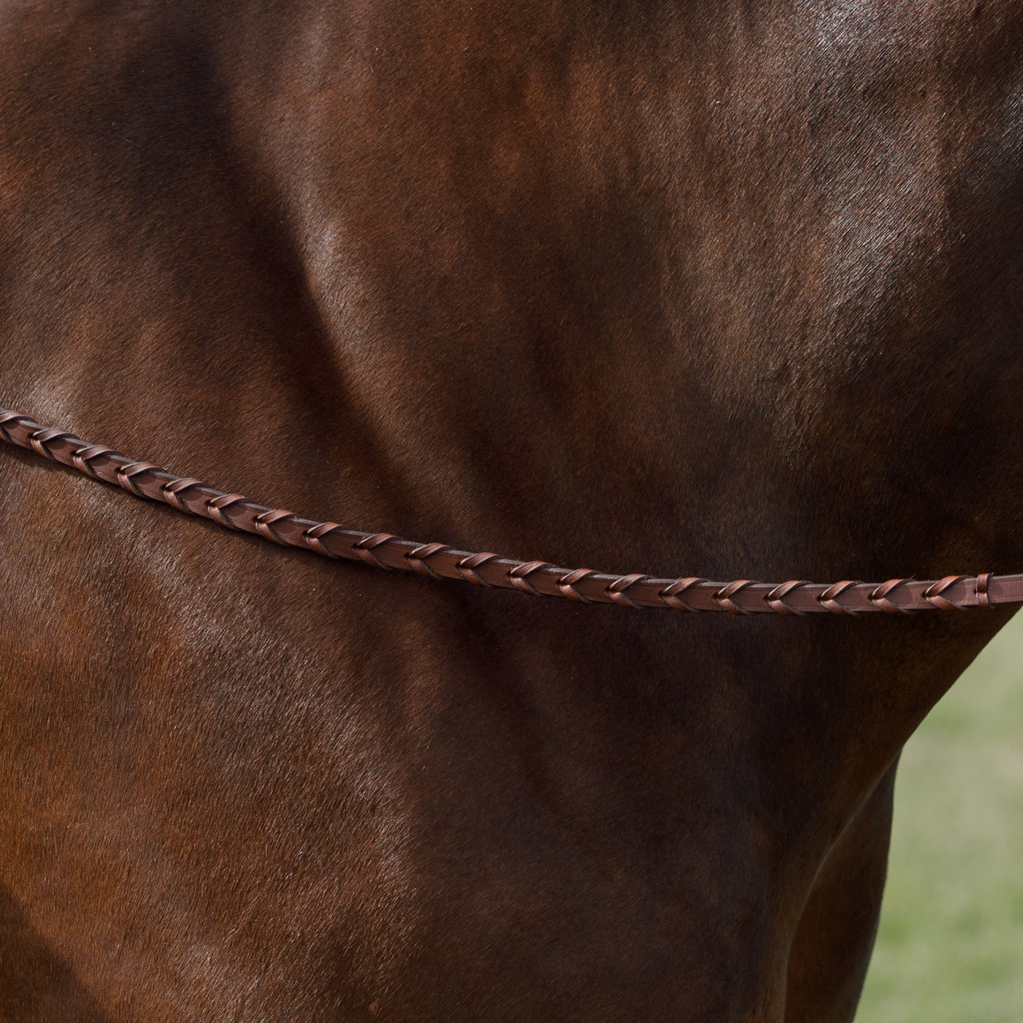Close-up of a pair of brown laced reins against a bay horse's neck.