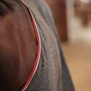 Adirondack Wool Cooler