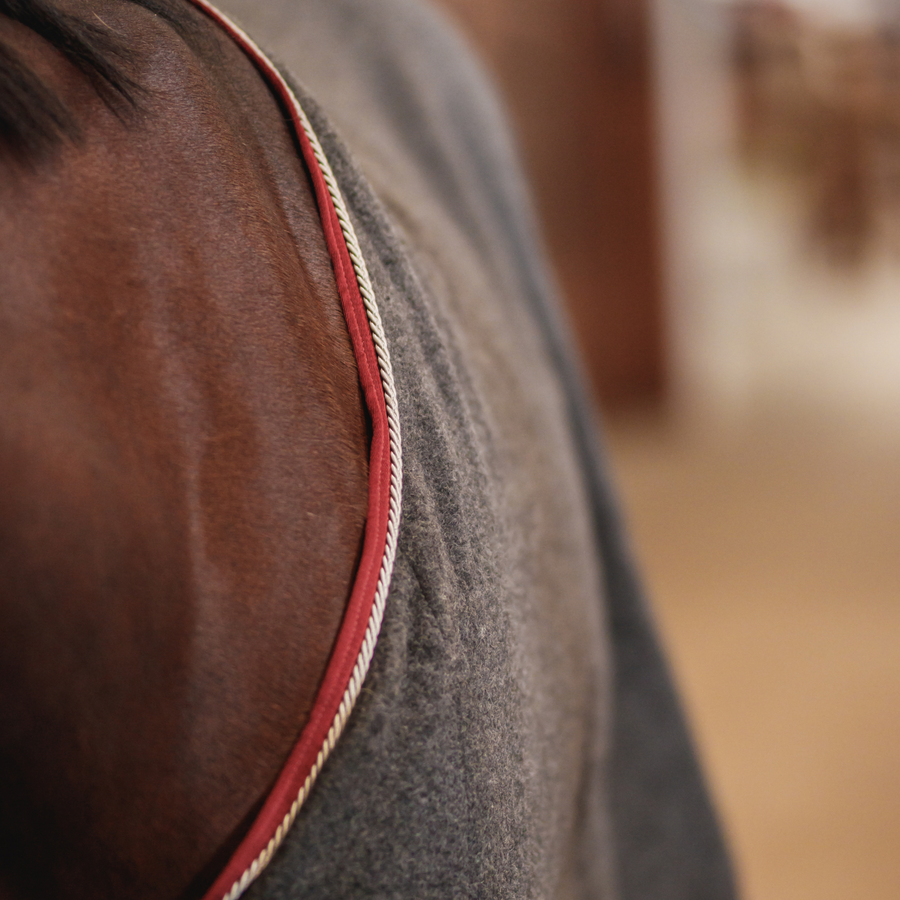 Adirondack Wool Cooler