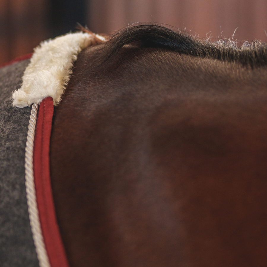 Adirondack Wool Cooler
