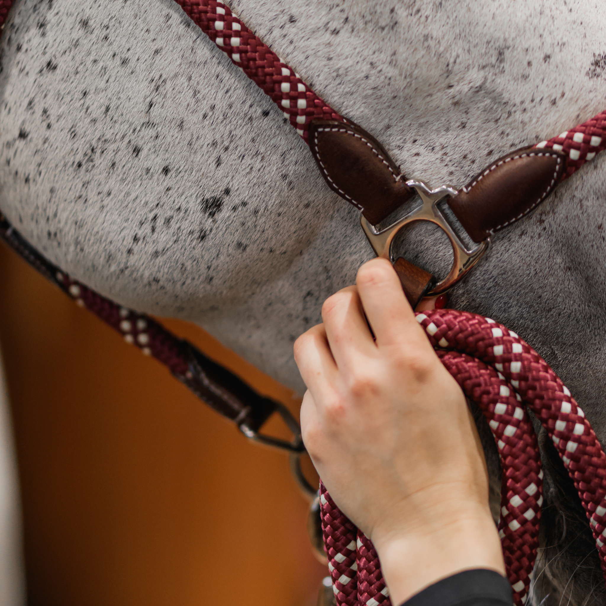 Banff Leather and Rope Halter Set