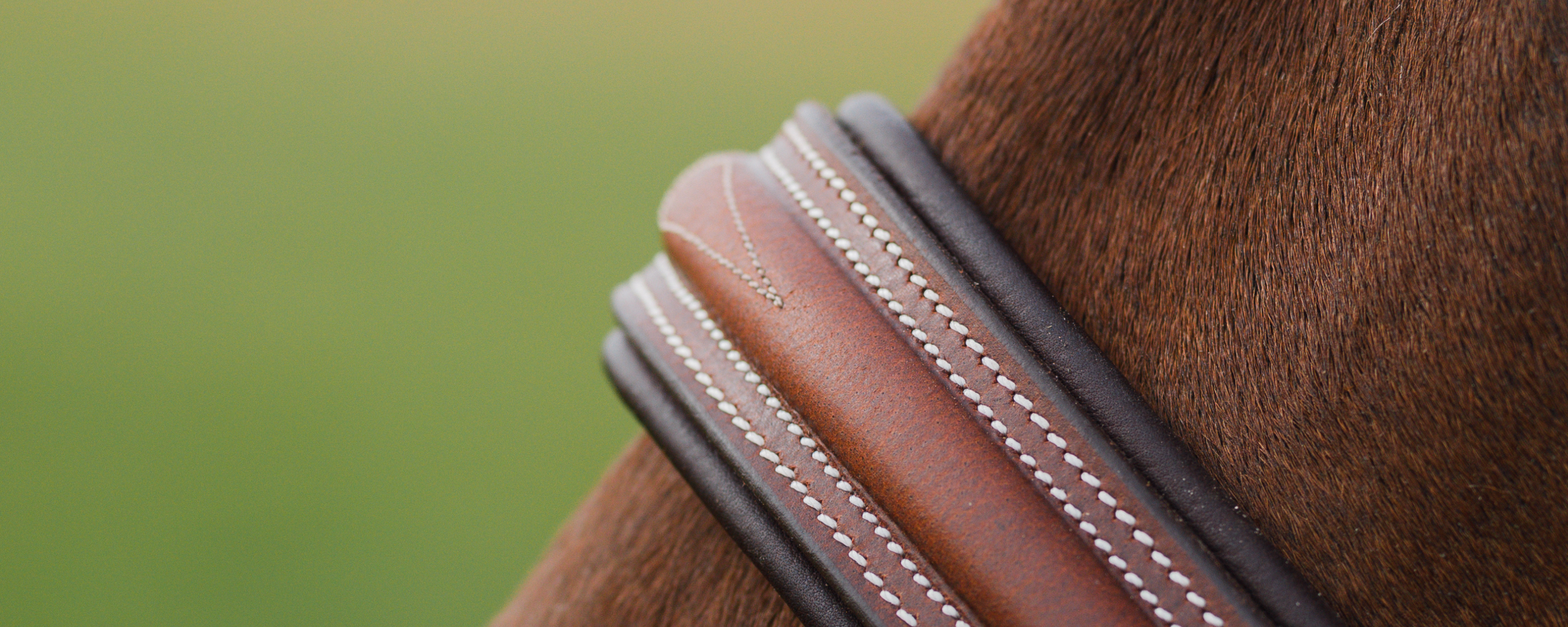 Close-up of a horse's nose wearing a fancy stitched brown bridle with a blurred green background.
