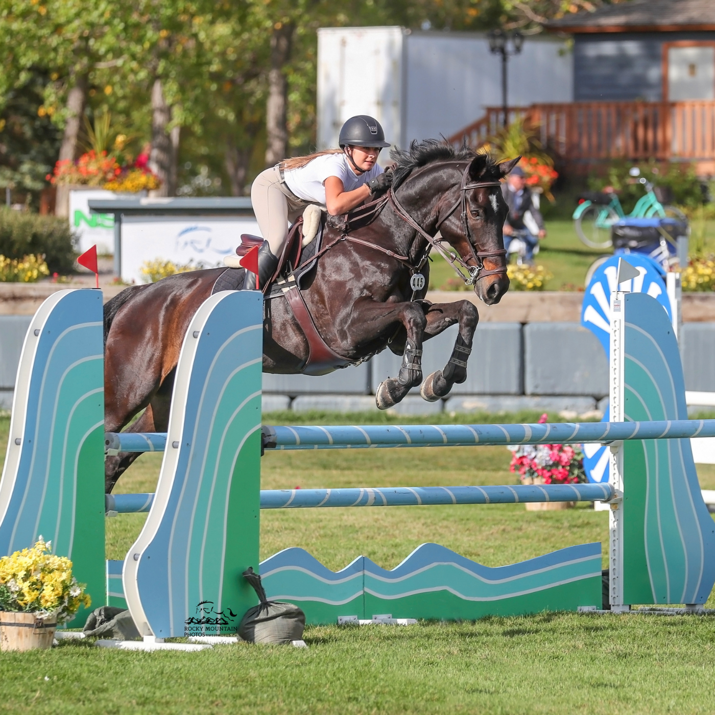 Horse and rider jumping an oxer in a grass jumper ring at a horse show.