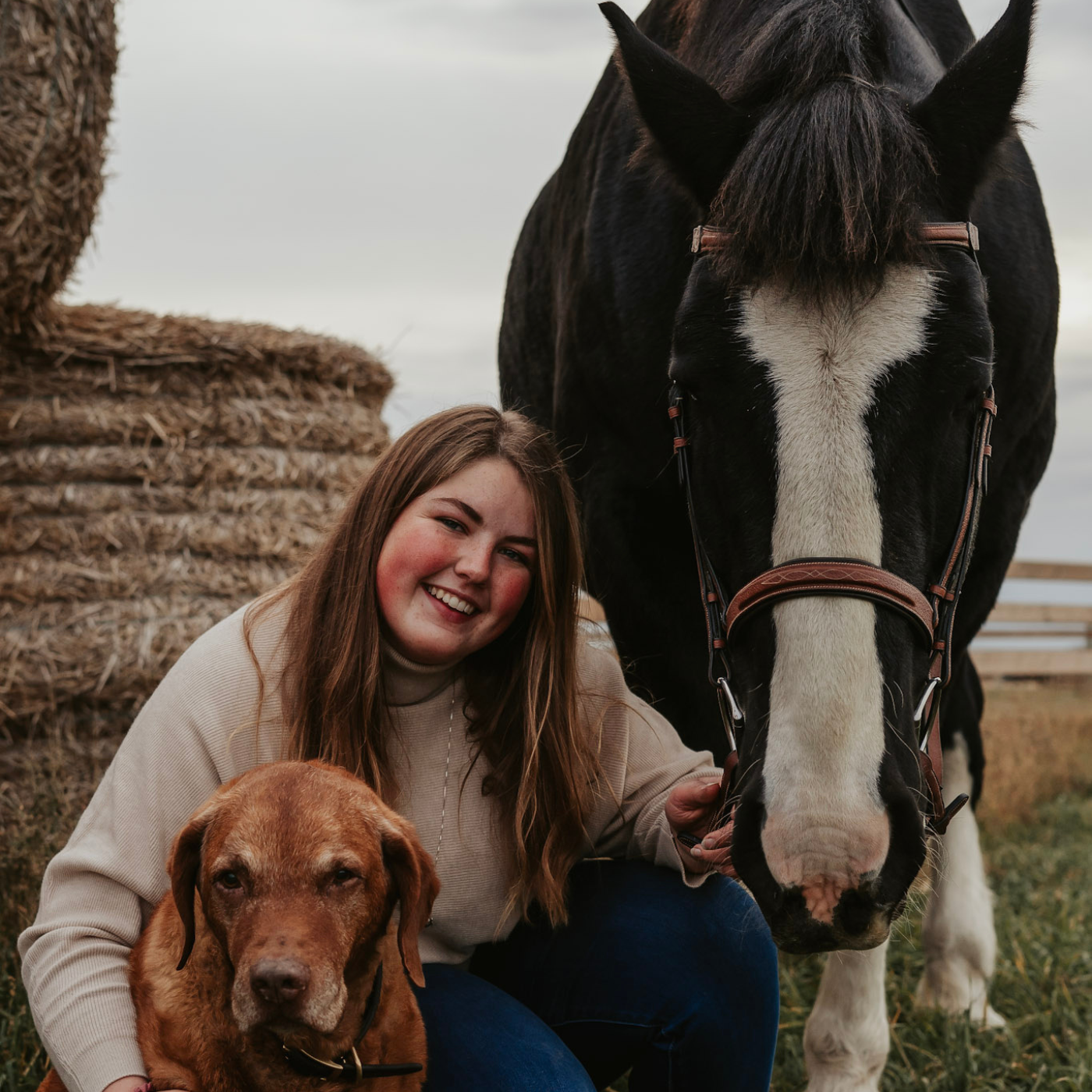 Woman with a dog and a draft horse in an outdoor setting