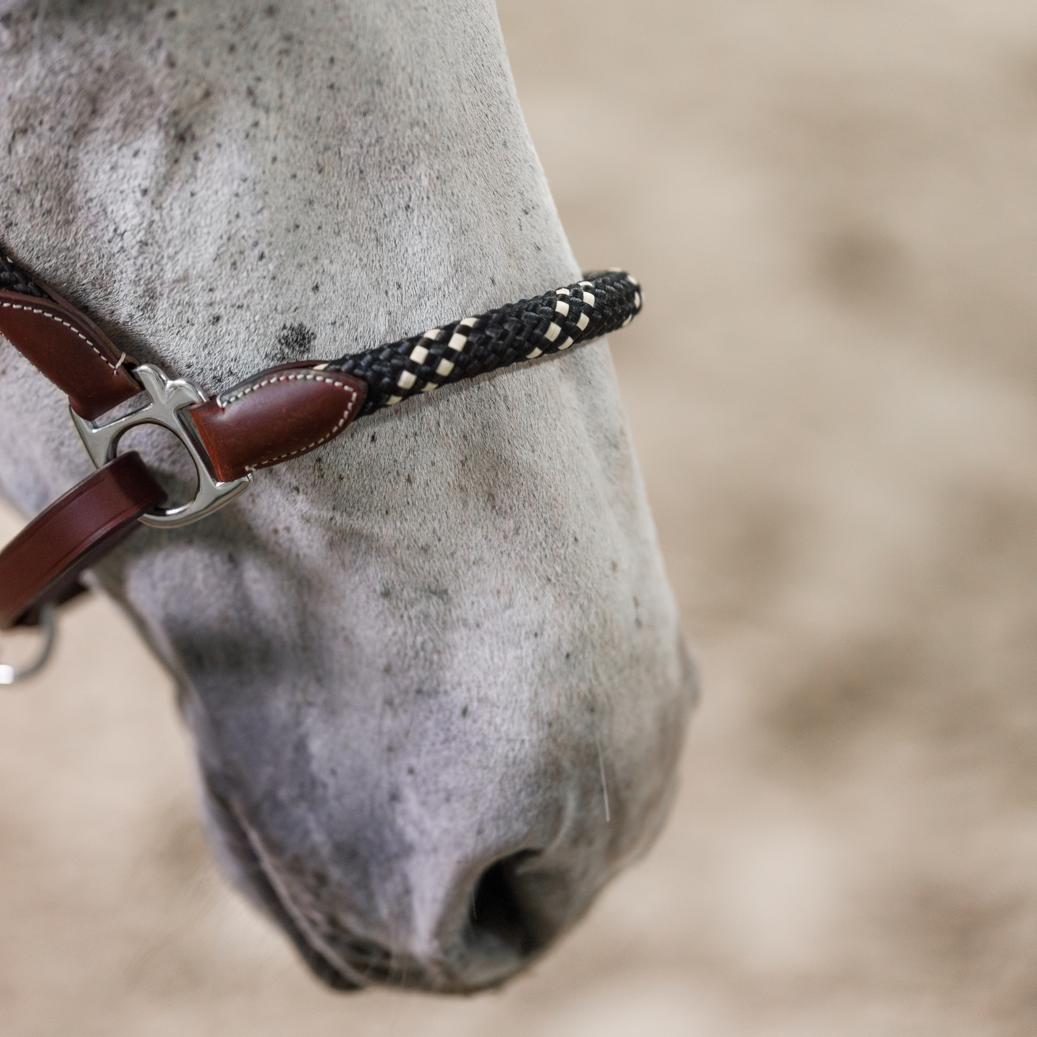 Banff Leather and Rope Halter Set
