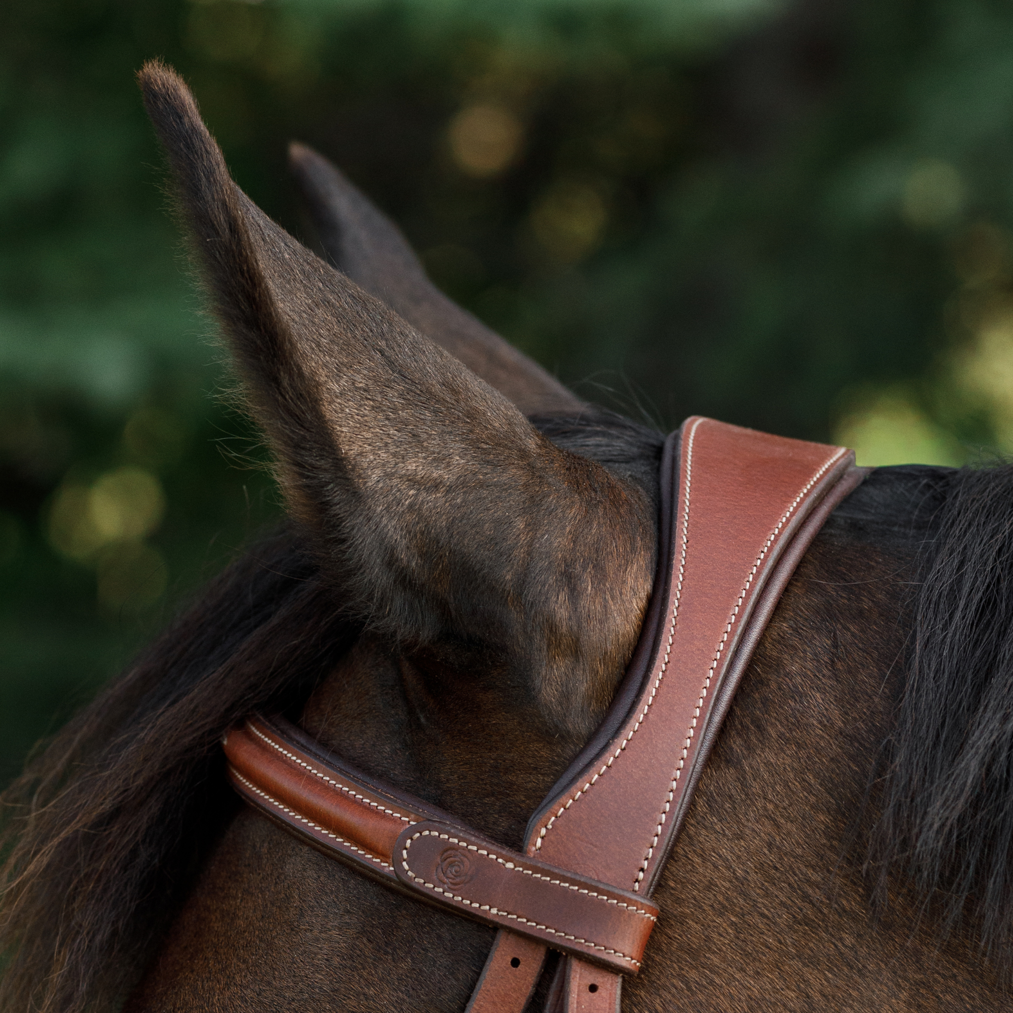 Hunter Bridle