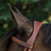 Hunter Bridle