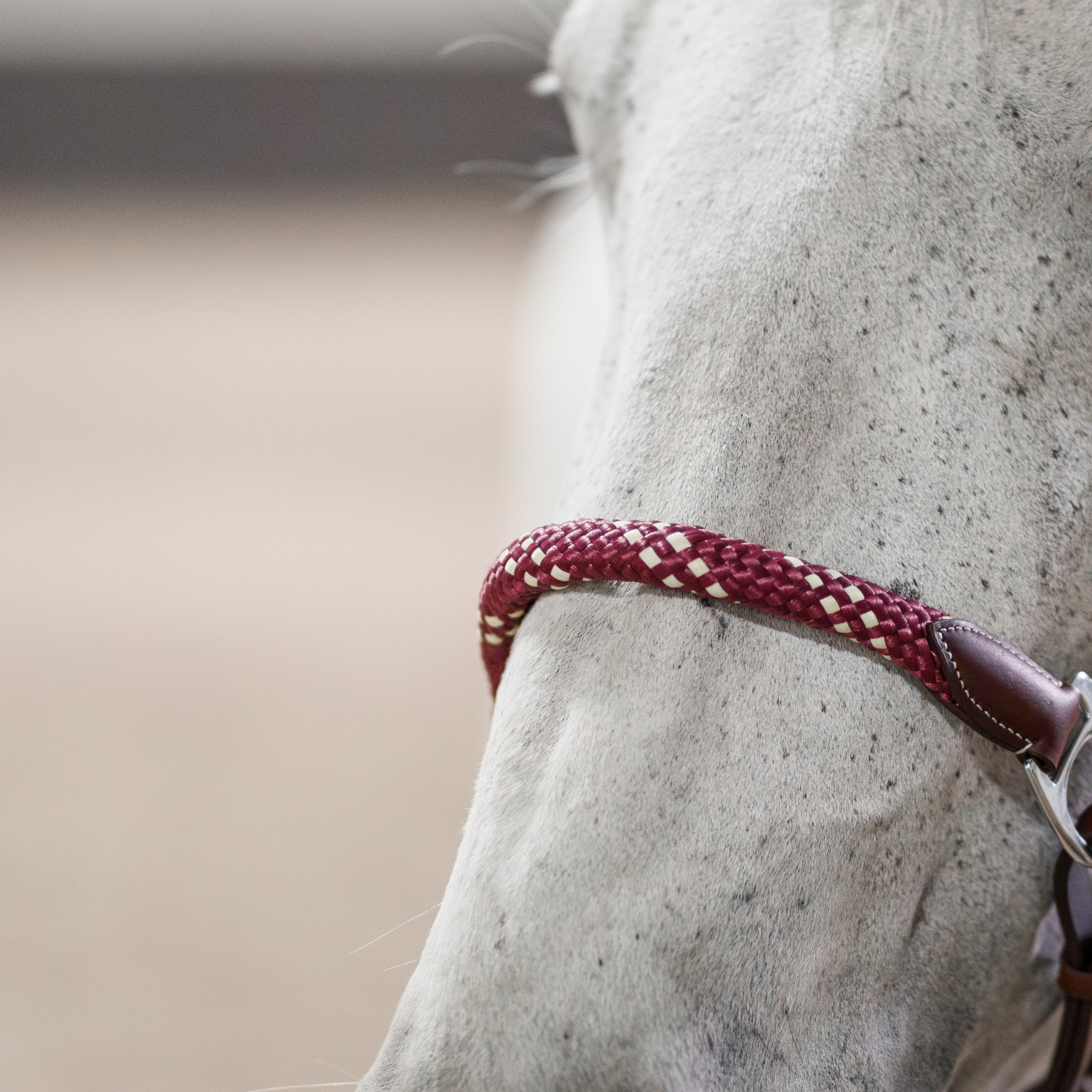 Banff Leather and Rope Halter Set