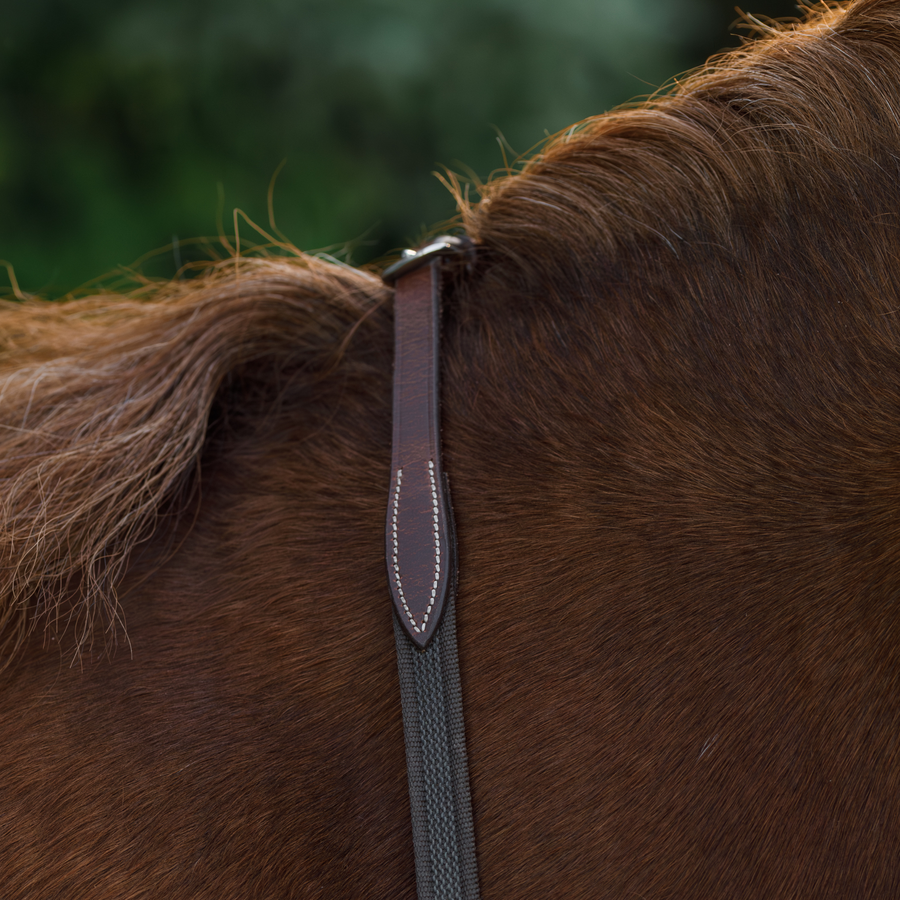Steady Feel Reins
