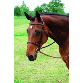 Vespucci Fancy Raised Hunter Bridle