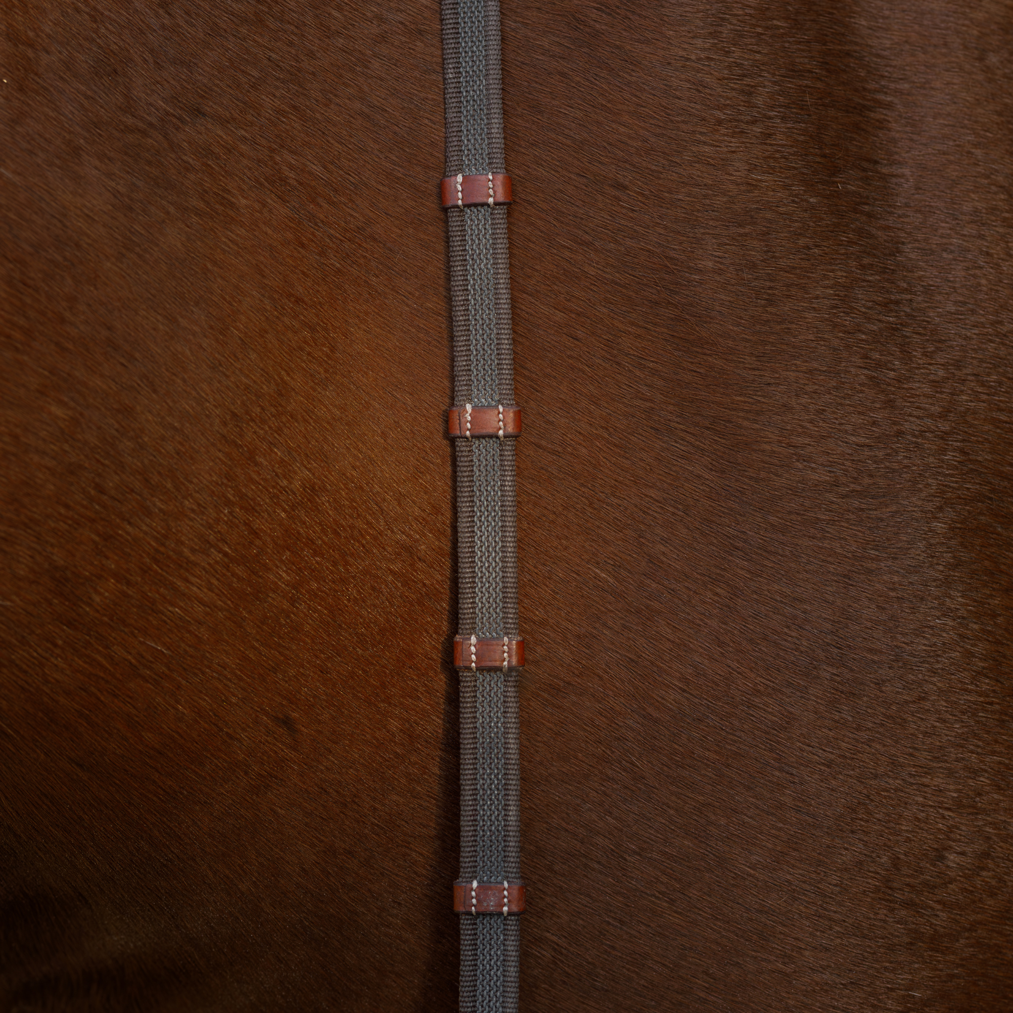Close-up of a chestnut pony's neck with brown webbed reins draped over. Photo focuses on the texture of the elastic lined webbing, and the leather rein stops.