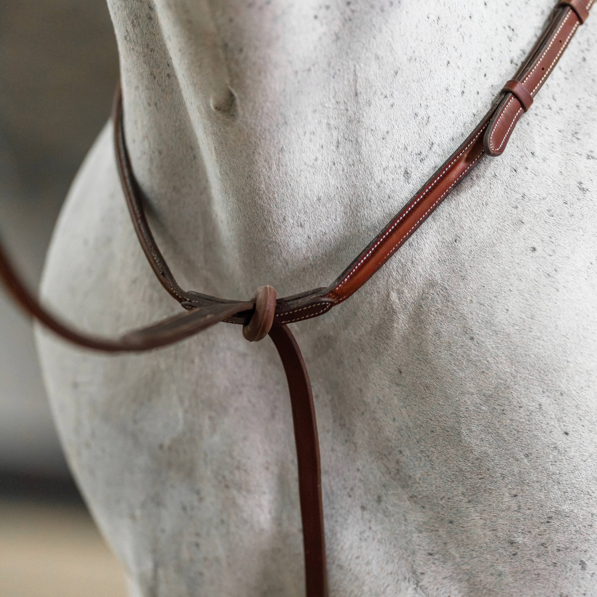 Standing Martingale