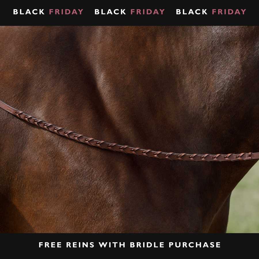 Laced Reins