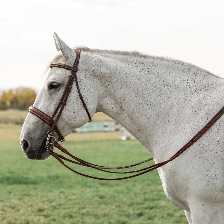 Side profile of a grey horse wearing a brown bridle with wide noseband and anatomical crownpiece, with laced and curb reins attached to the bit. 