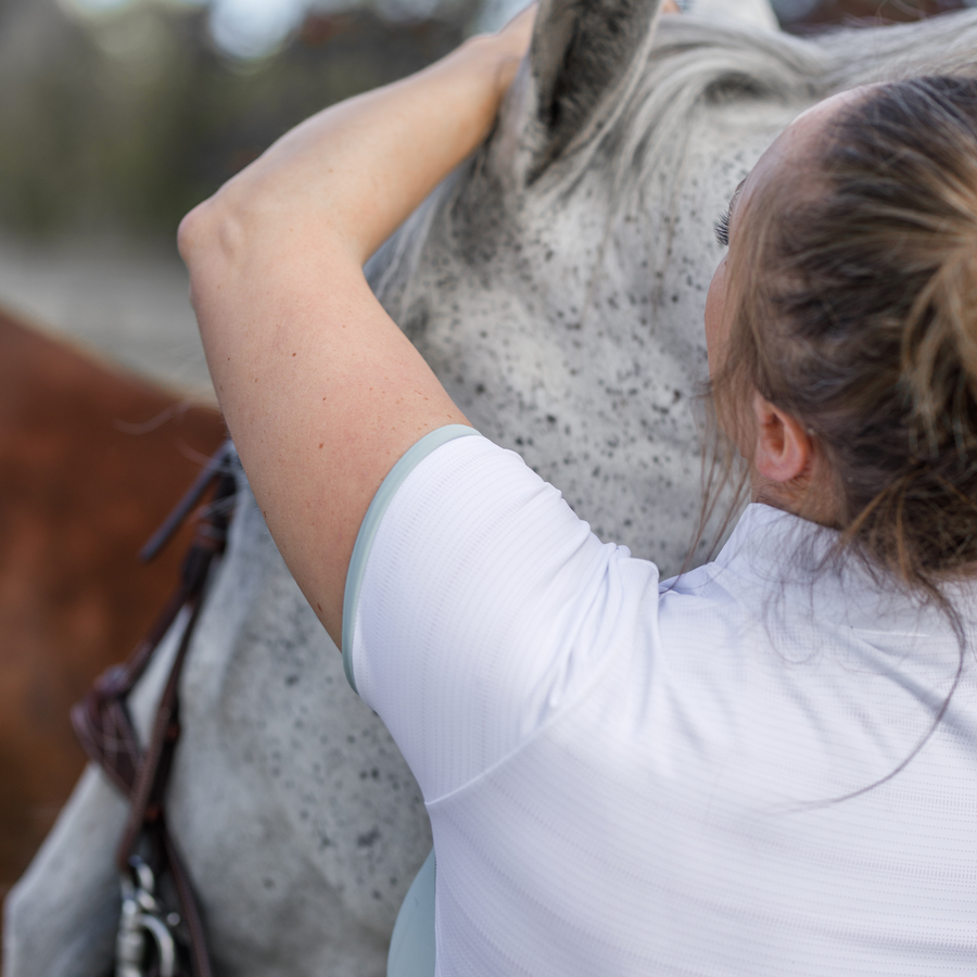 Woman putting a bridle on a grey horse