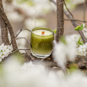 Fancy Barn Soy Wax Candle