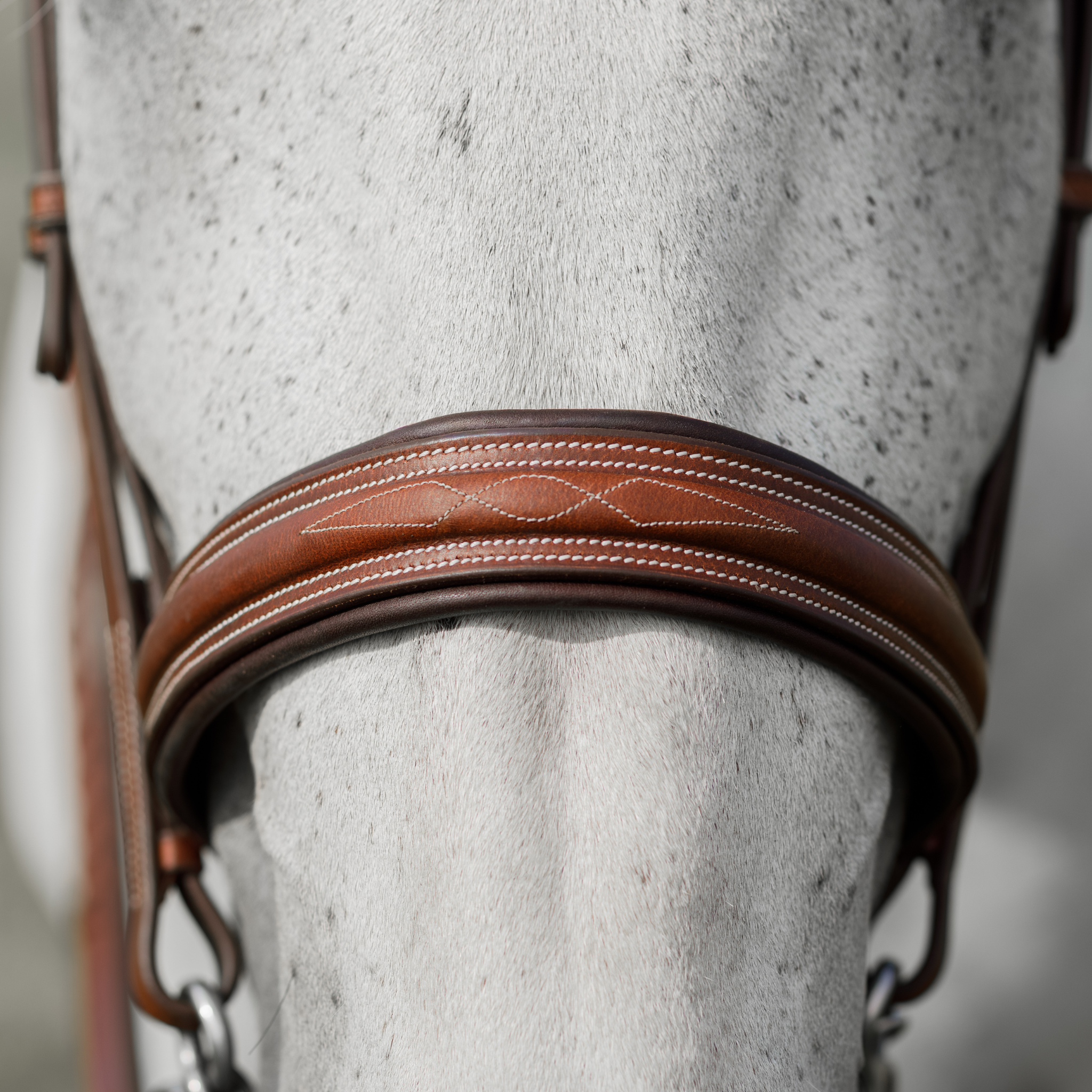 Close up front view of a grey horse wearing the brown hunter bridle; the photo focuses on the noseband, showing a fancy stitch pattern across the centre of the noseband. The noseband looks soft and well padded.