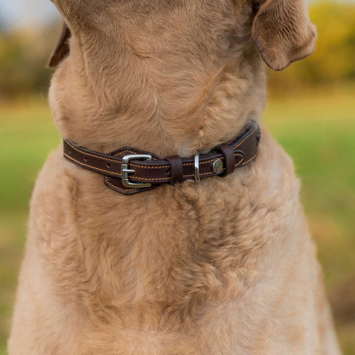 PREORDER: Soft Leather Dog Collar