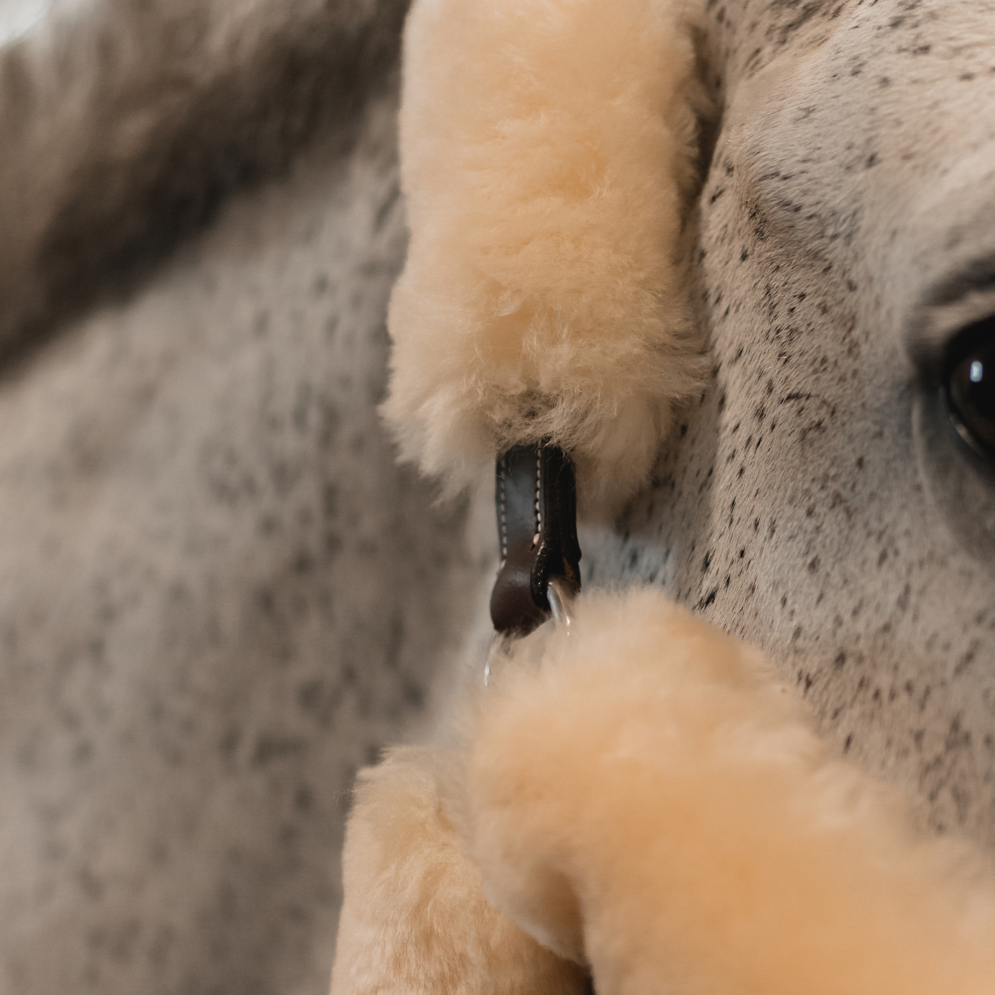 Close up photo of a sheepskin and leather halter on a grey horse.