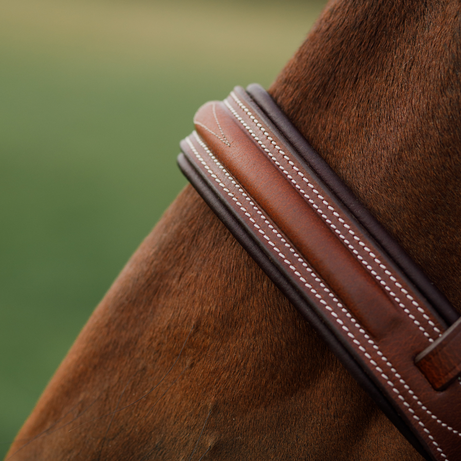 Side profile close up photo of the brown hunter bridle noseband on a bay horse against a green blurred background. 