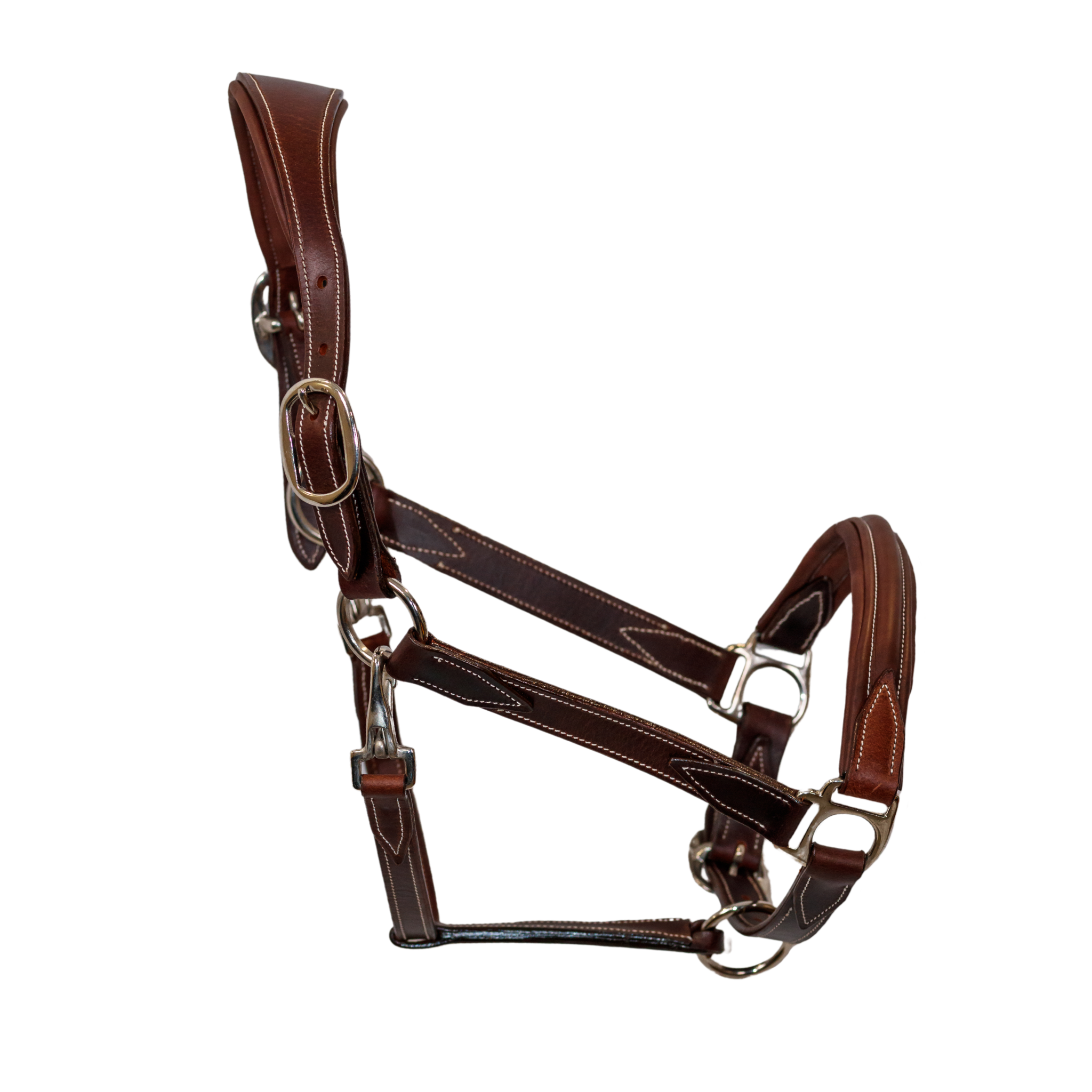 Right side view of Waterton Leather Halter against a white background.