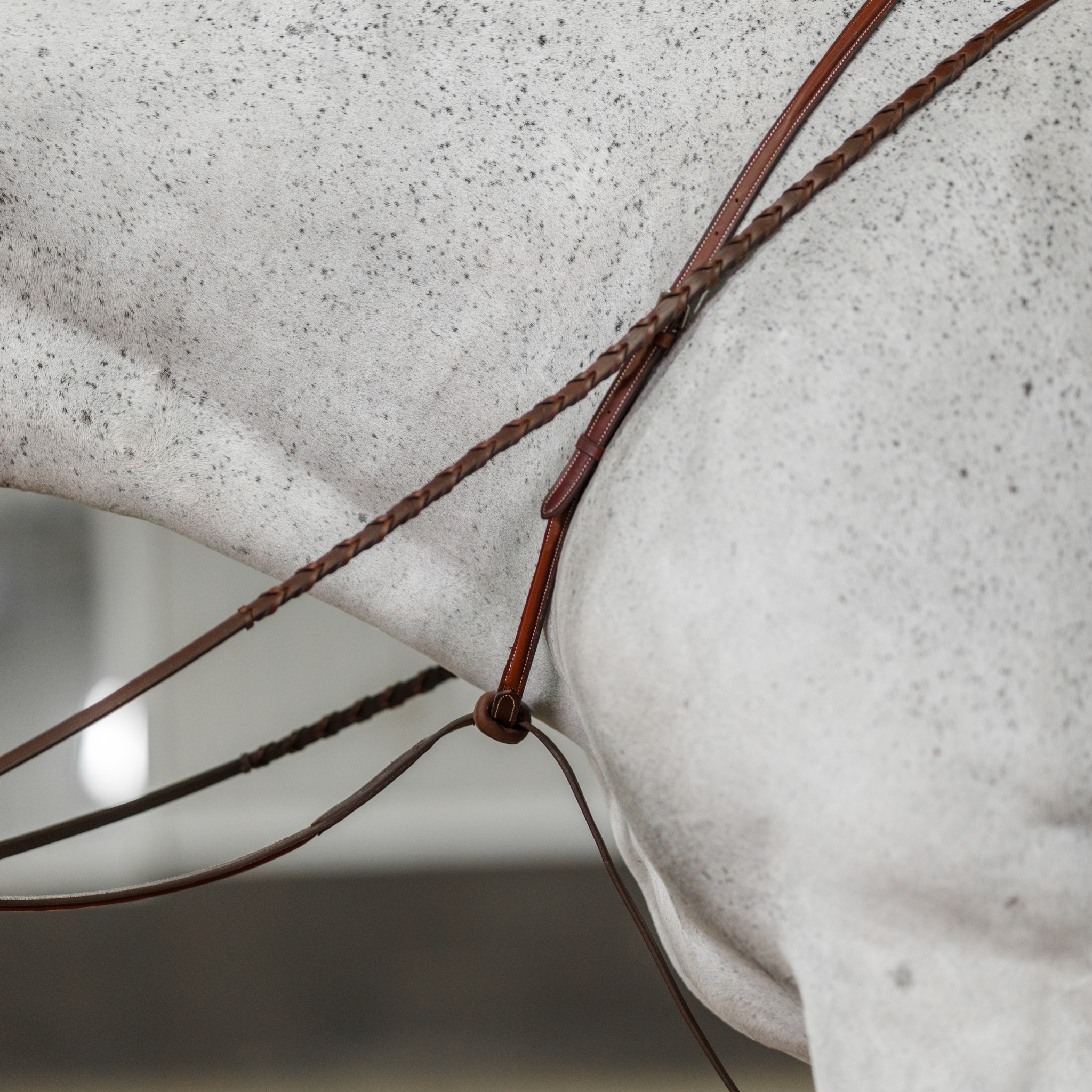 Standing Martingale