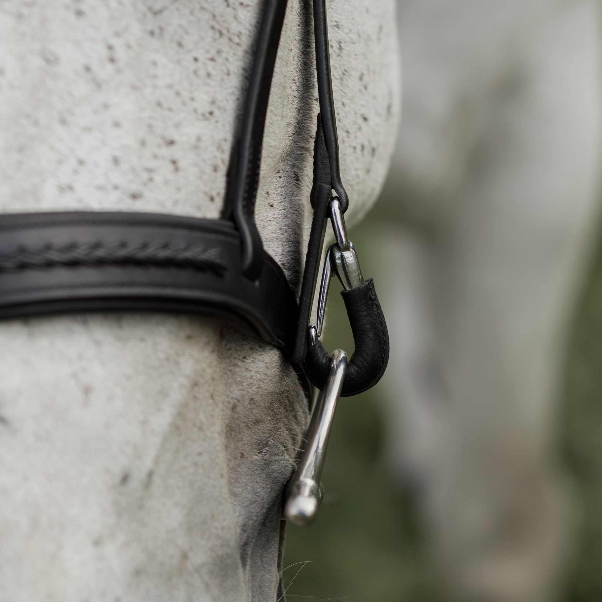 Close-up of a grey horse's nose wearing the Braided Training Bridle in black. The photo focuses on the leather lined clip cheekpieces with inward facing clip.
