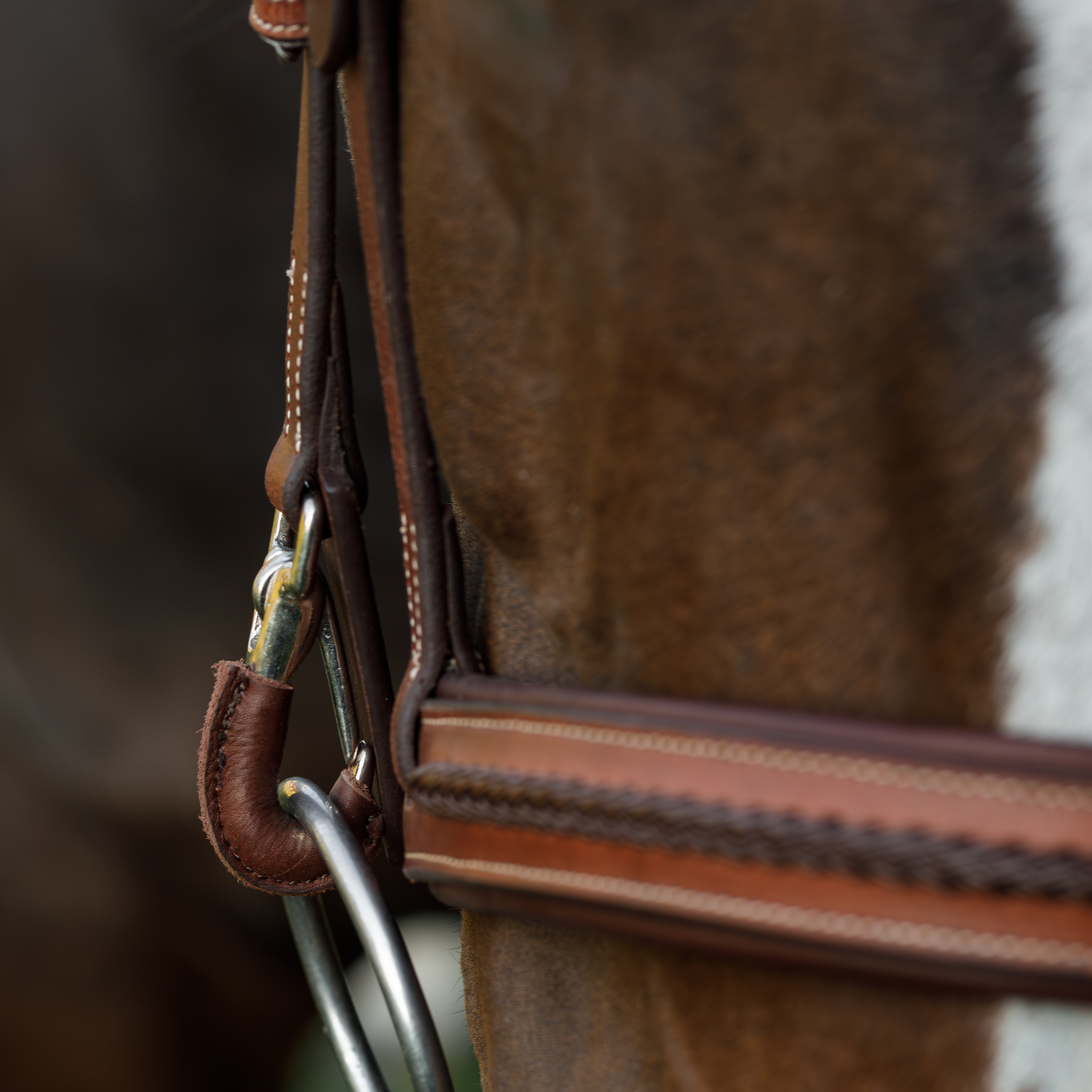 Close-up of a bay horse's nose wearing the Braided Training Bridle in brown. The photo focuses on the leather lined clip cheekpieces with inward facing clip.