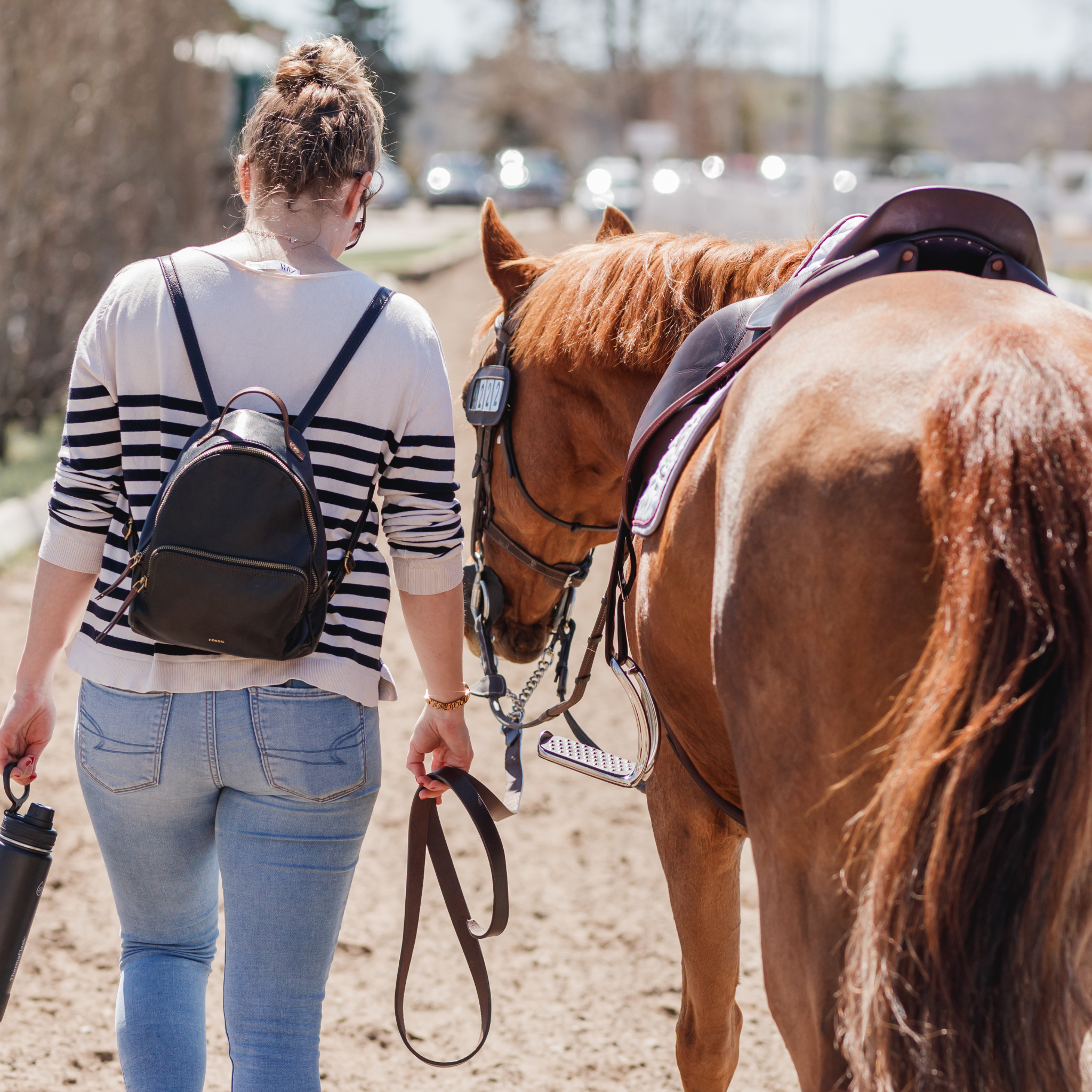 A person leading a chestnut pony dow a bridle path with a leather grooming lead. 