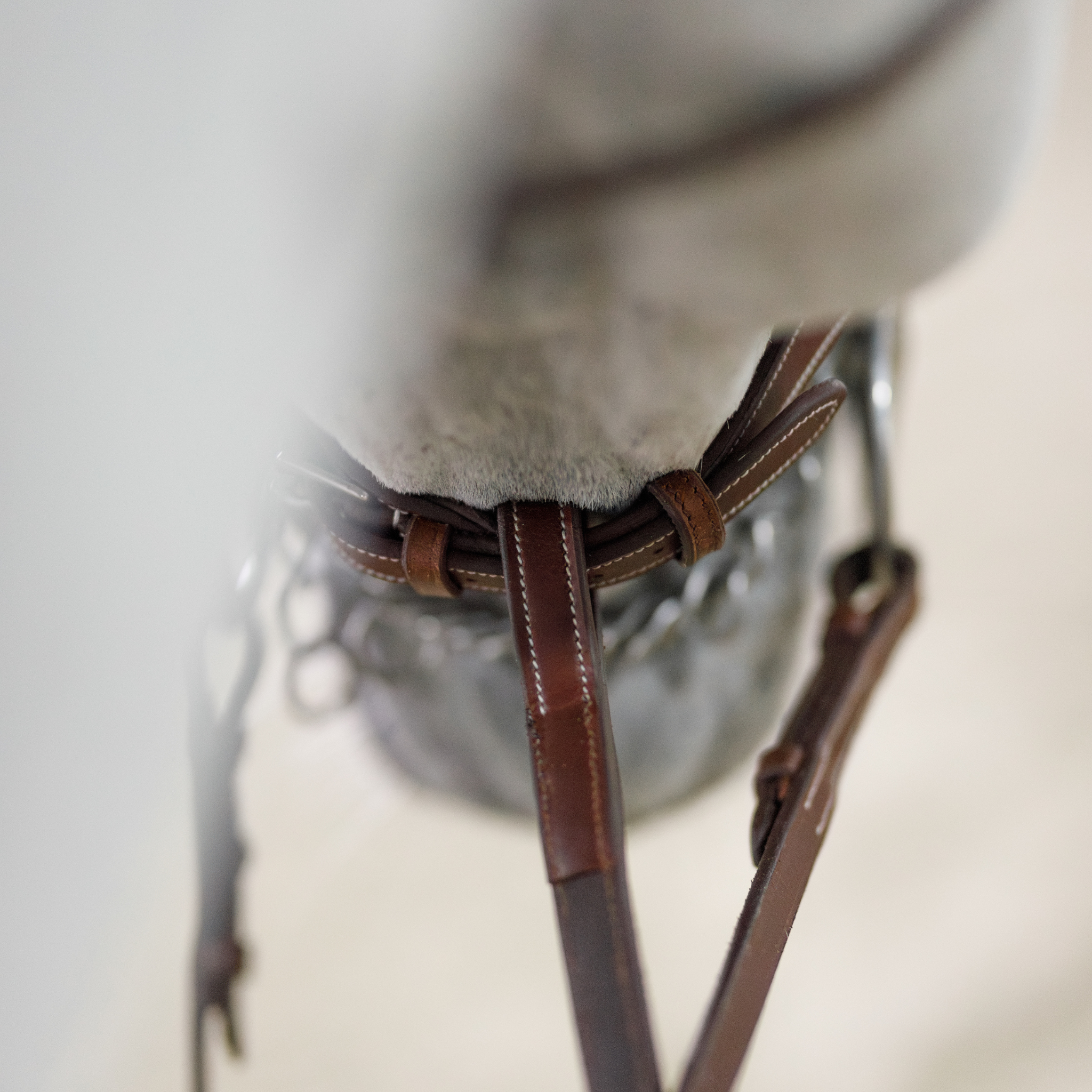 Standing Martingale