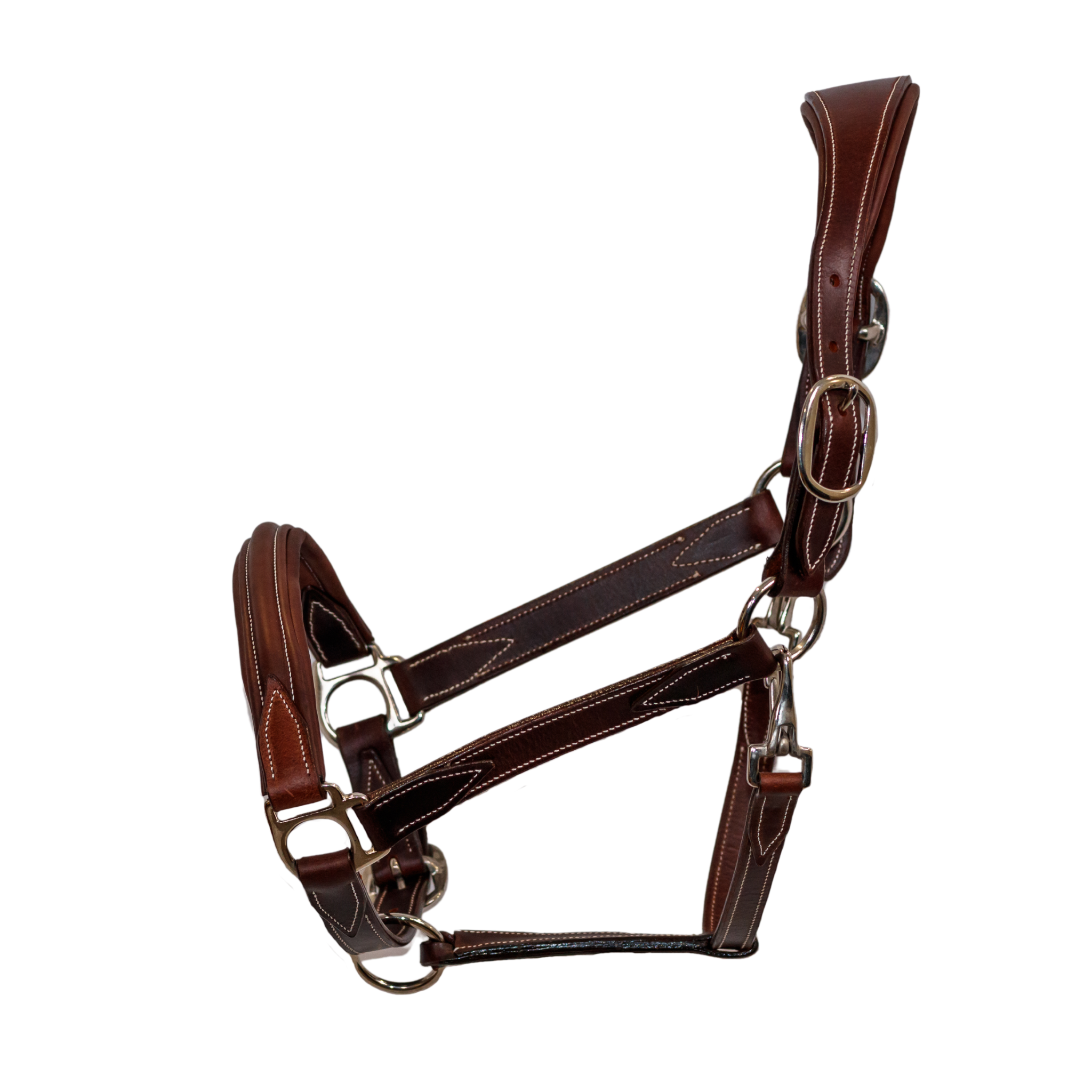 Left side view of Waterton Leather Halter against a white background.