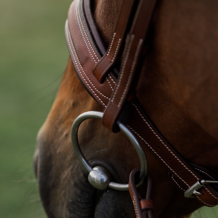 Close up photo of the brown hunter bridle noseband on a bay horse against a green blurred background. Photo focuses on the white contrast stitching detail on the noseband.