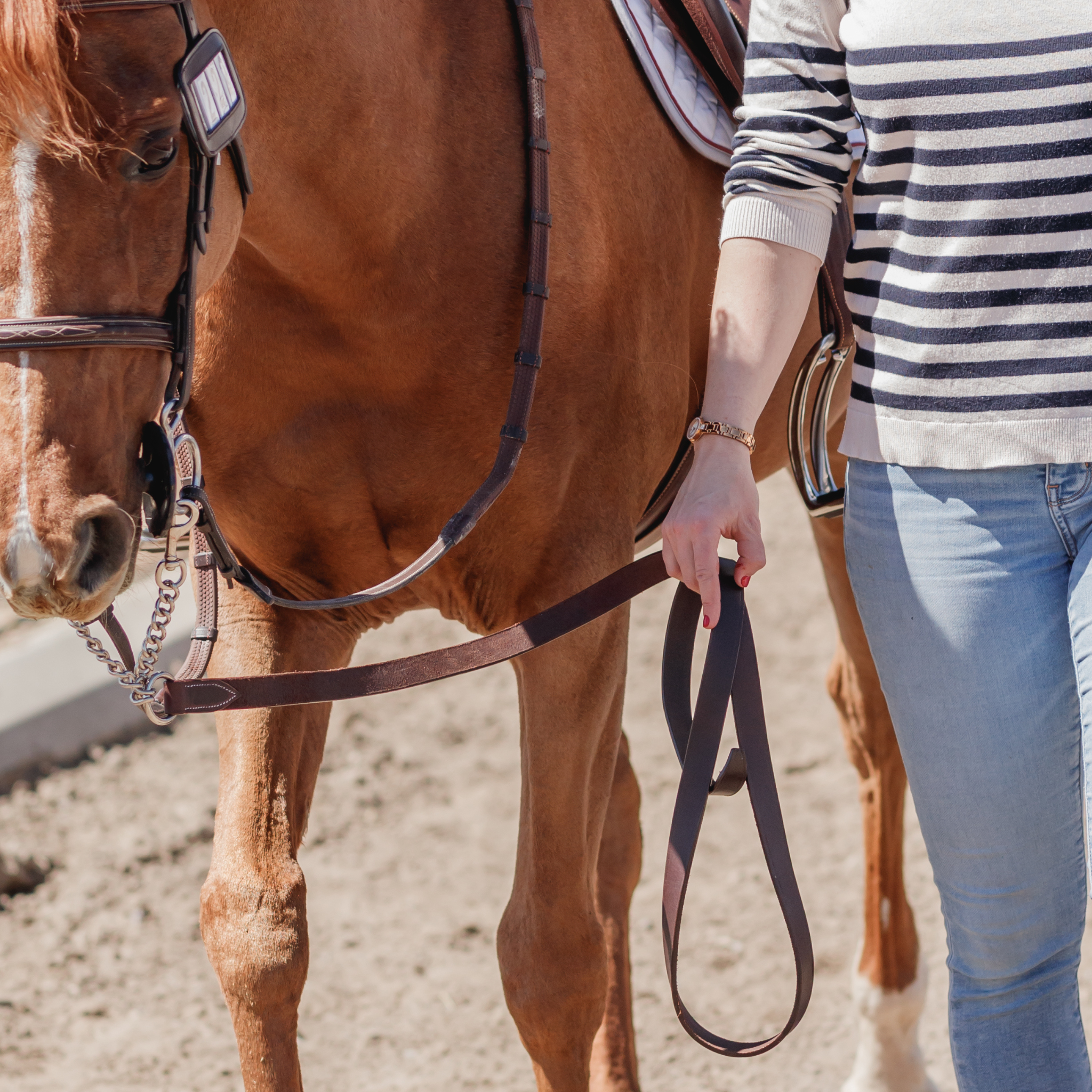 A person leading a chestnut pony dow a bridle path with a leather grooming lead. 