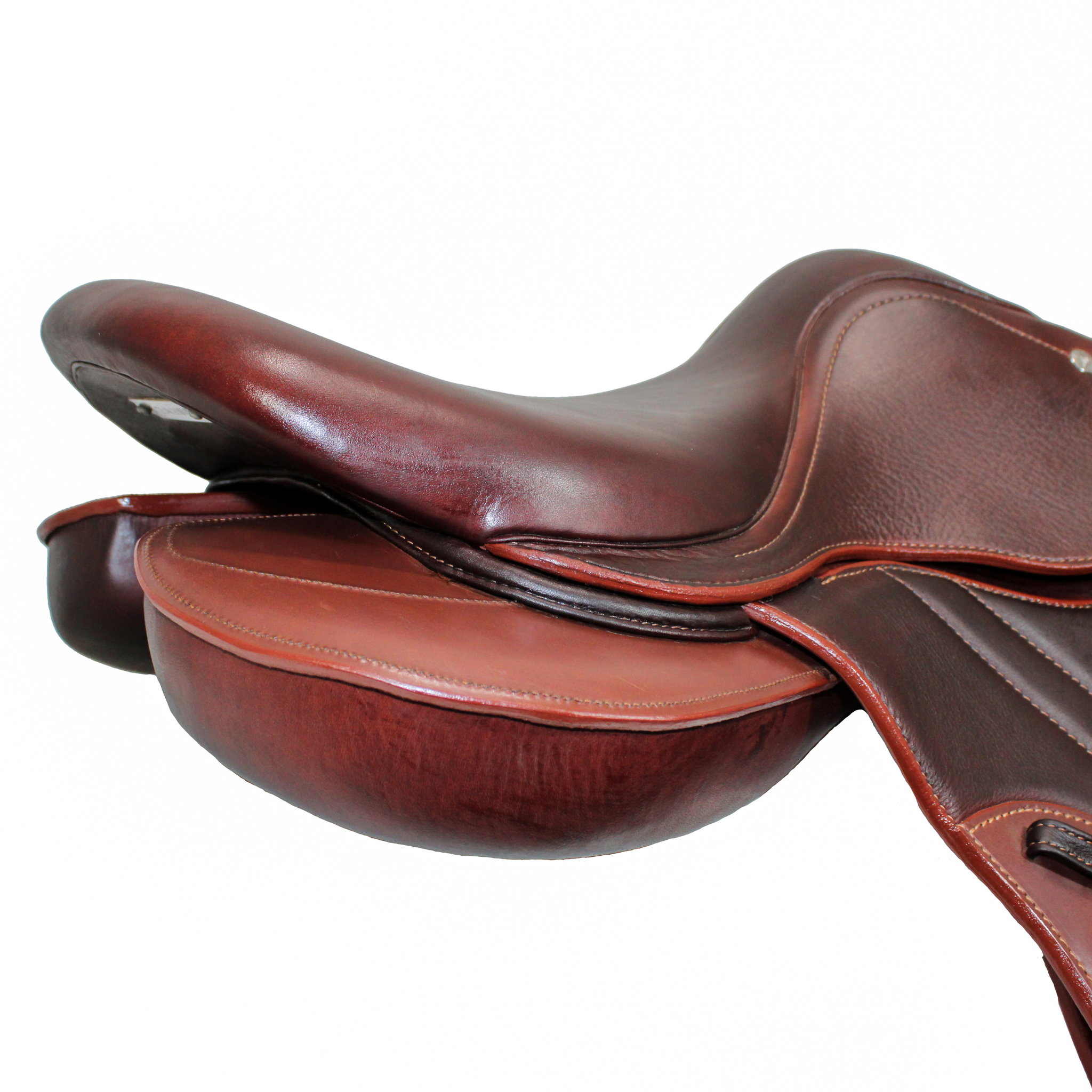 Meyer Metamorphose - 17.5" - A Tree