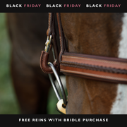 Braided Training Bridle