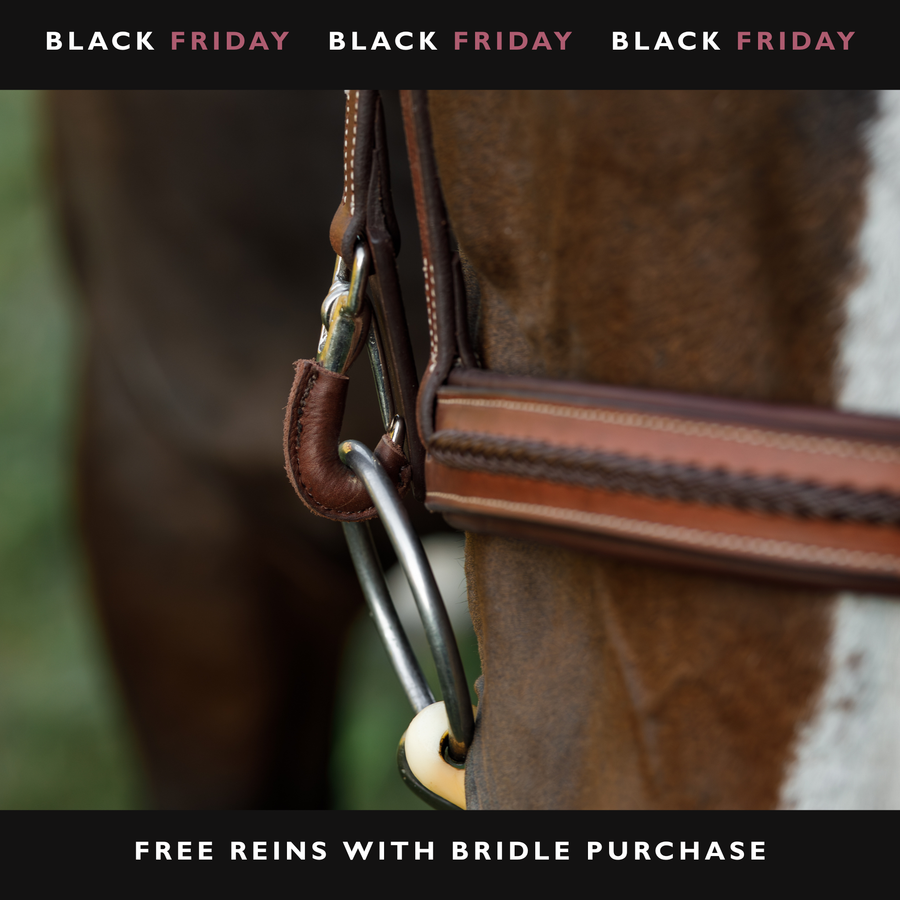 Braided Training Bridle