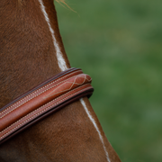 Close up photo of the hunter bridle noseband on a chestnut horse against a blurred green background 